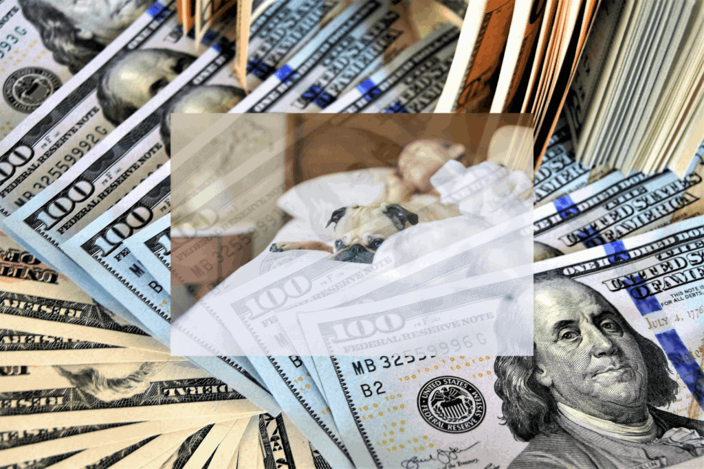 make money while you sleep